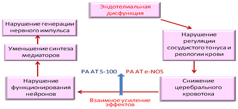 Механизм действия Дивазы