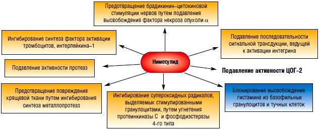 Основные механизмы действия Нимесулида 