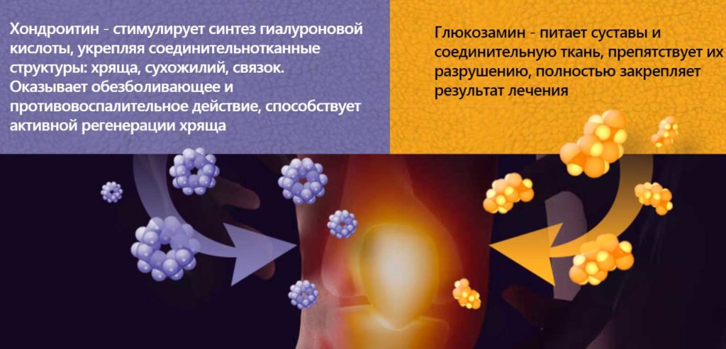 Компоненты Хондрофлекса