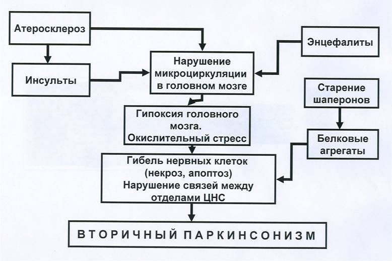 Клиника вторичного паркинсонизма 