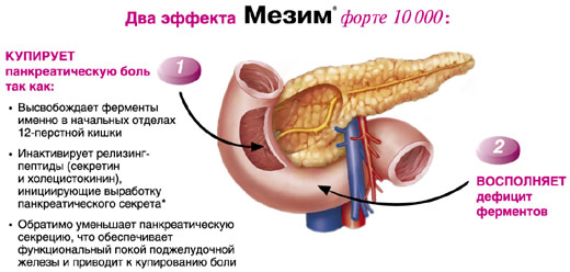 Терапевтические эффекты Мезима Форте
