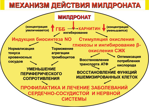 Воздействие на организм 