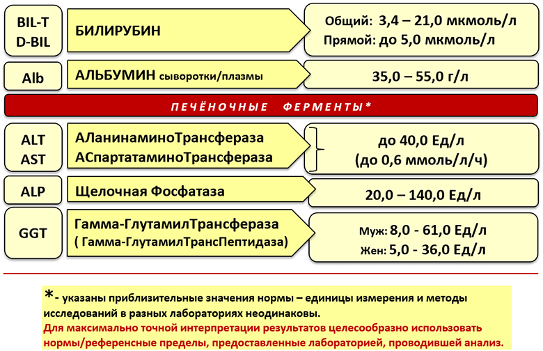Нормальные показатели печеночных ферментов