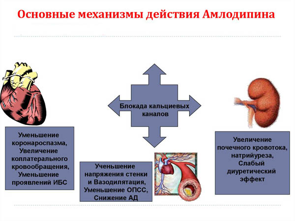 Механизмы действия