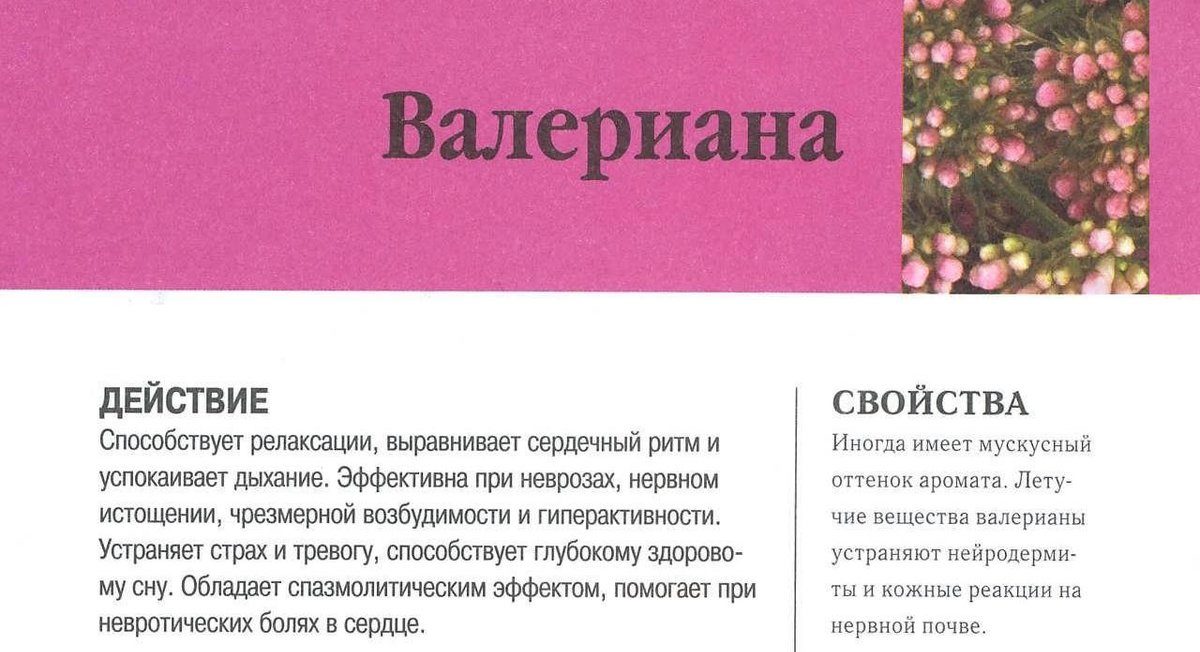 Лечебные свойства валерианы