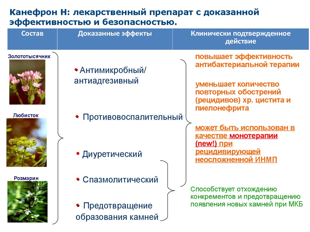 Эффективность Канефрона