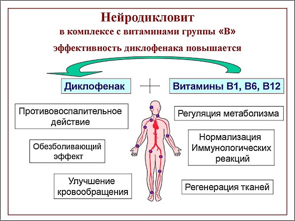 Состав и действие препарата