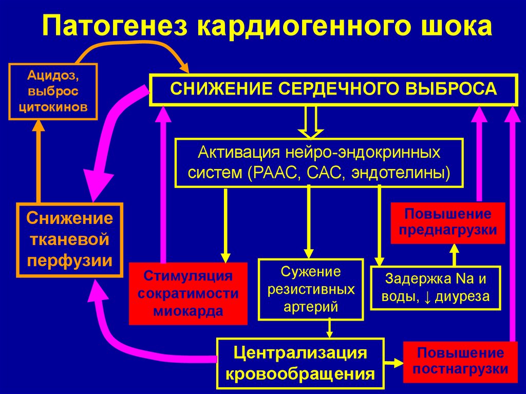 Патогенез КШ
