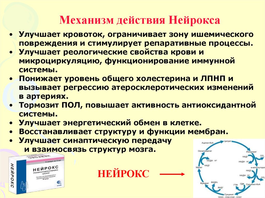 Воздействие Нейрокса на организм