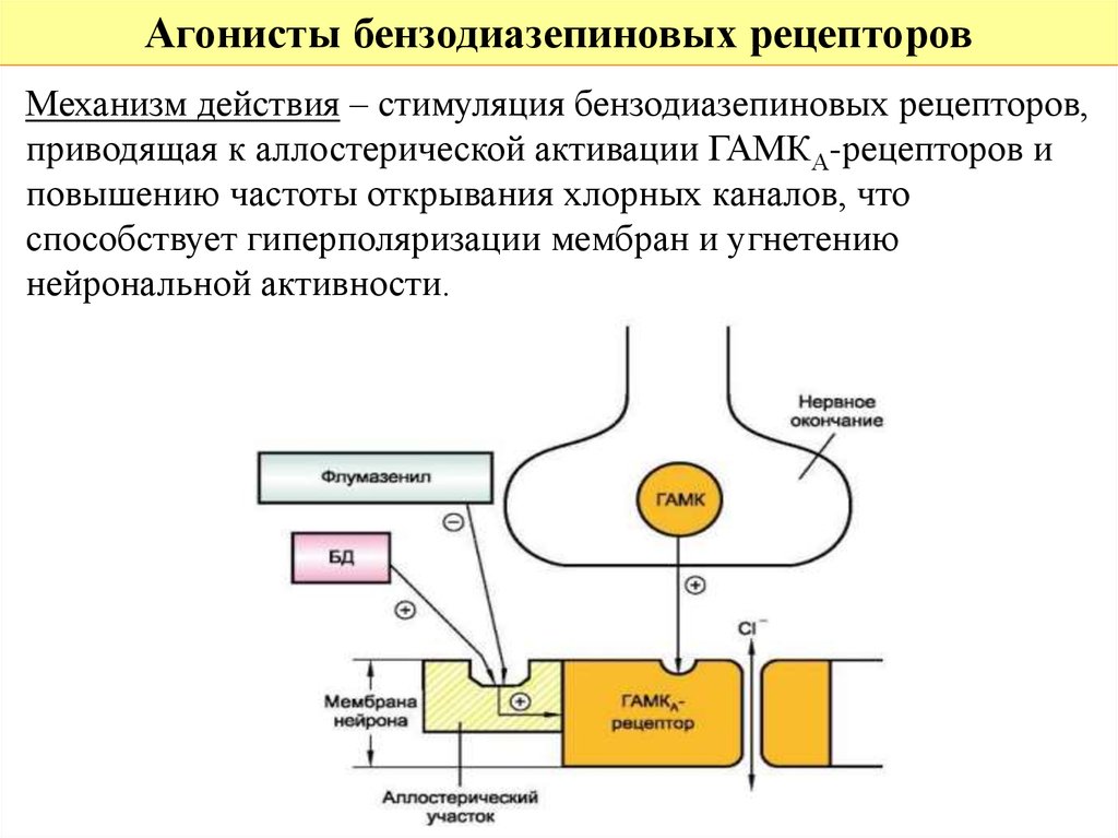 Механизм действия