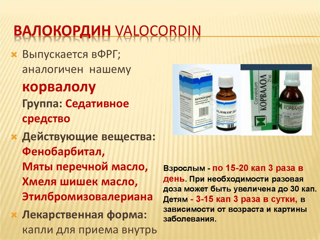 Общие сведения