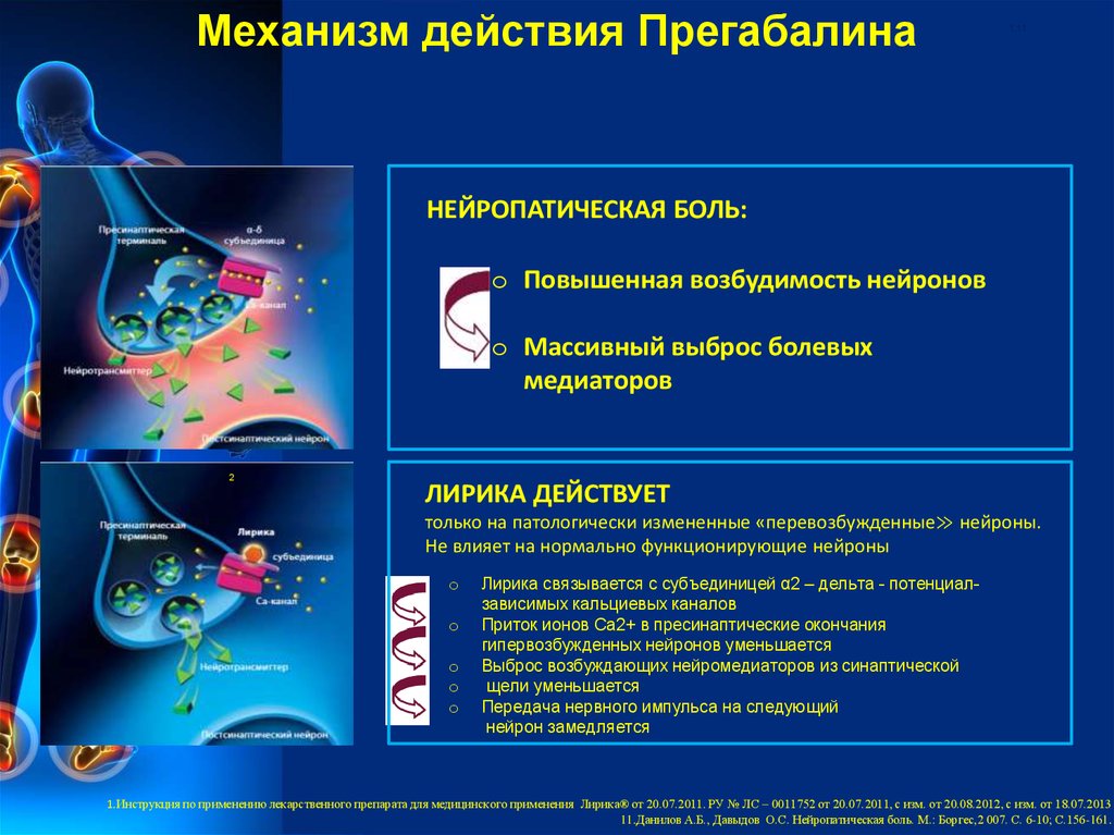 Механизм действия Прегабалина