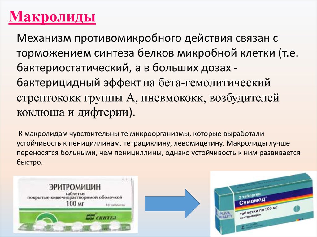 Механизм действия макролидов