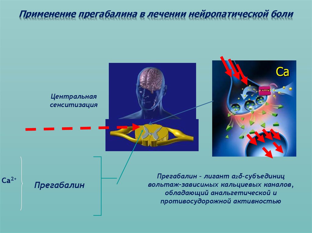 Применение препарата в лечении нейропатических болей