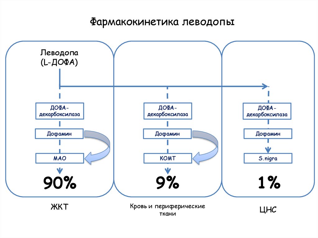 Фармакокинетика