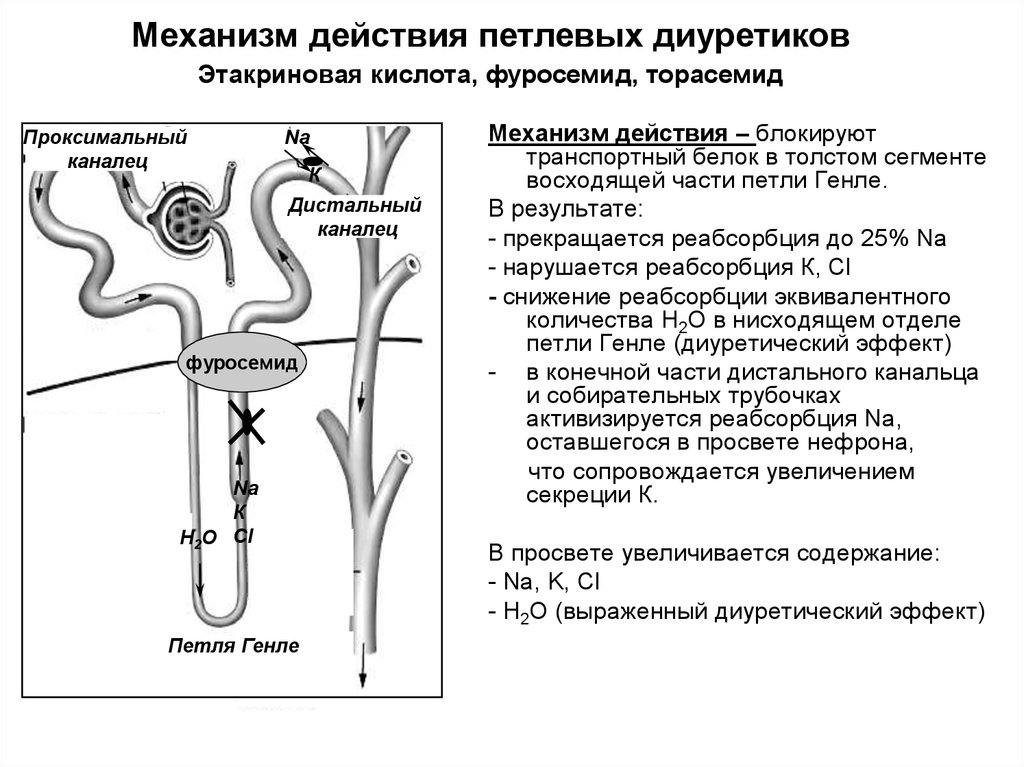 Механизм действия