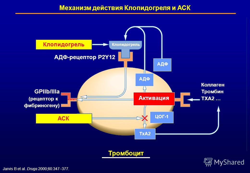Действие Клопидогрела