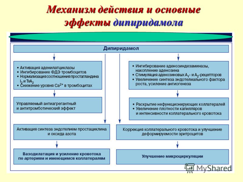 Основные эффекты дипиридамола