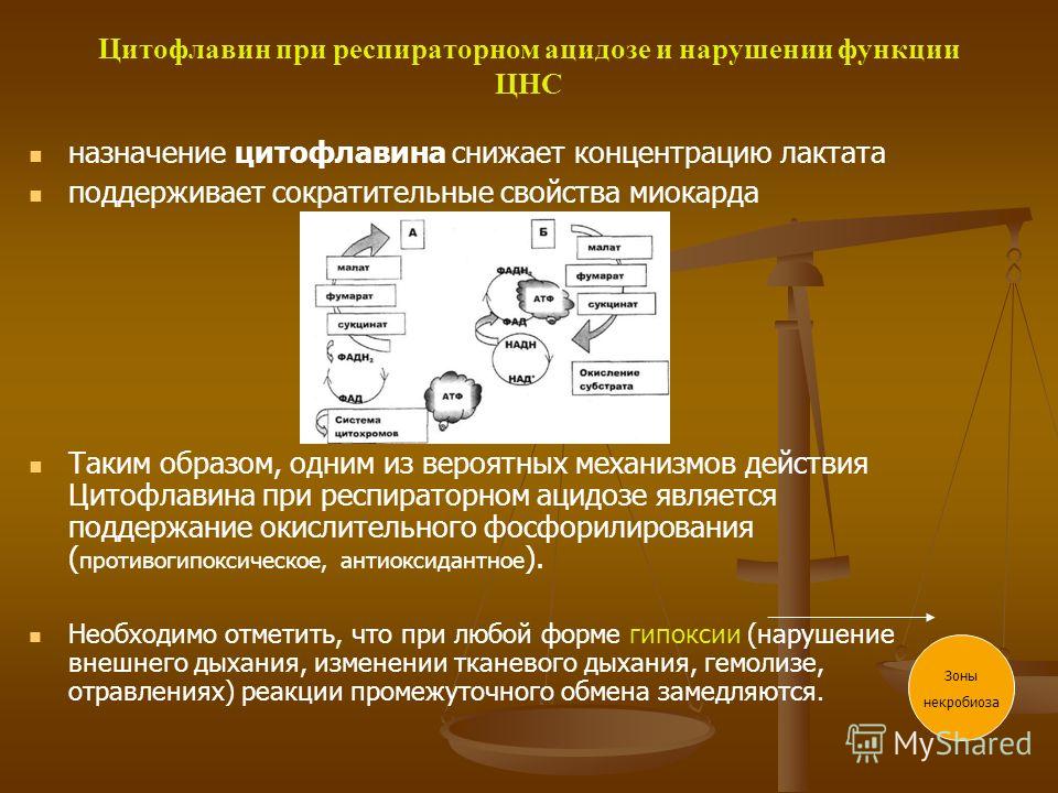 Механизм действия