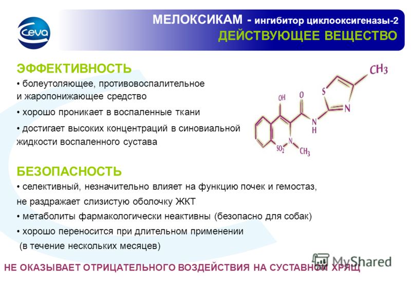 Эффективность и безопасность Мелоксикама