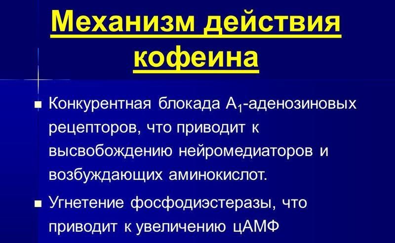 Механизм действия кофеина
