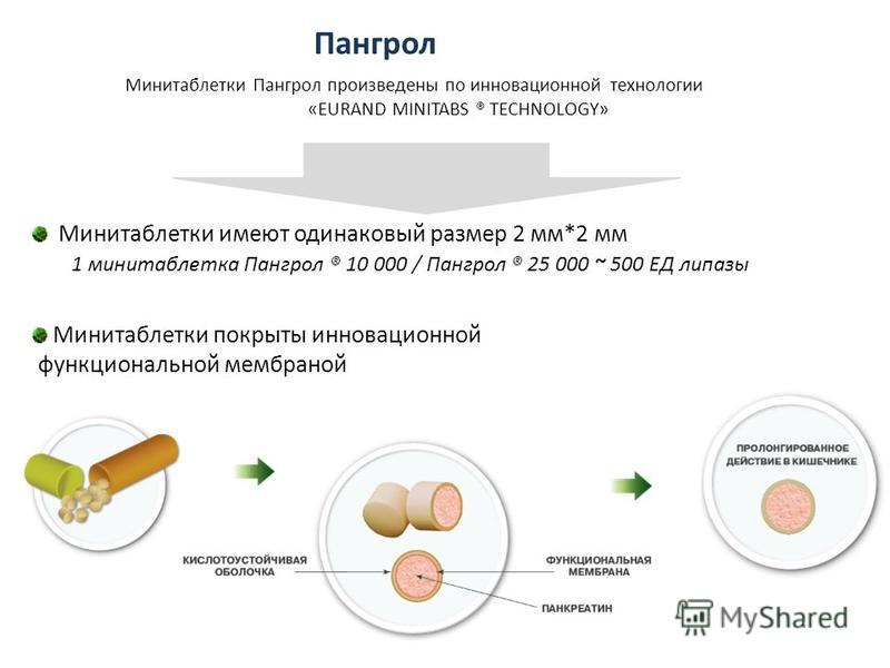 Минитаблетки Пангрол