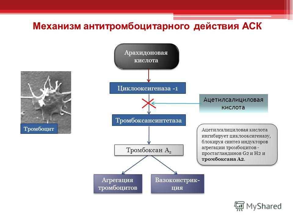 Антитромбоцитароное действие АСК