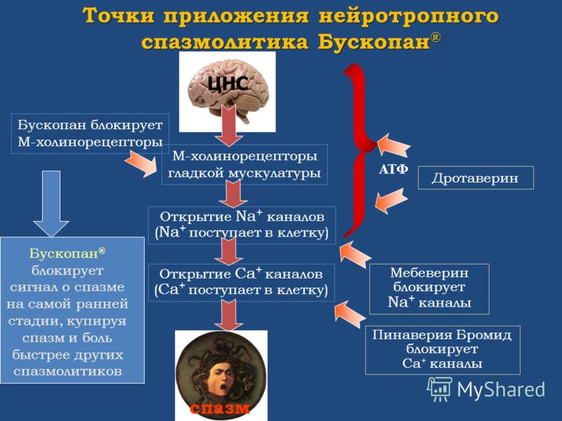 Точки приложения Бускопана