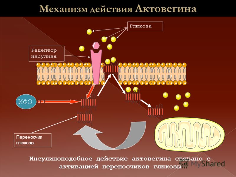 Механизм действия