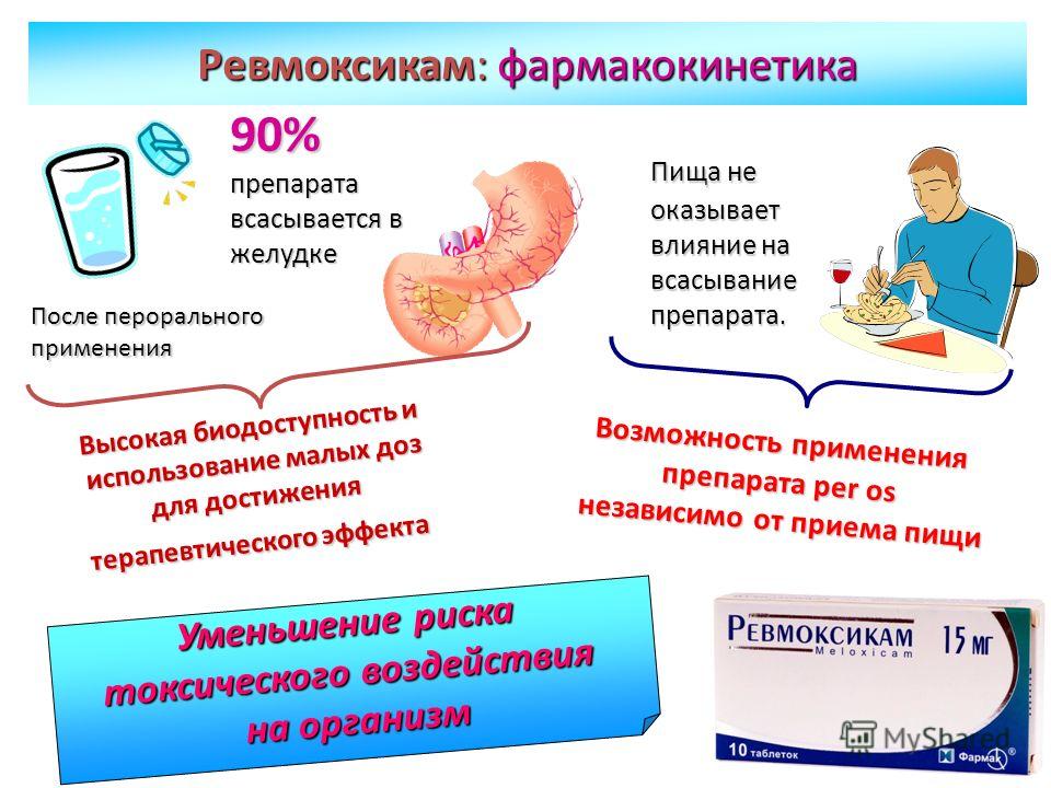 Фармакокинетика Ревмоксикама