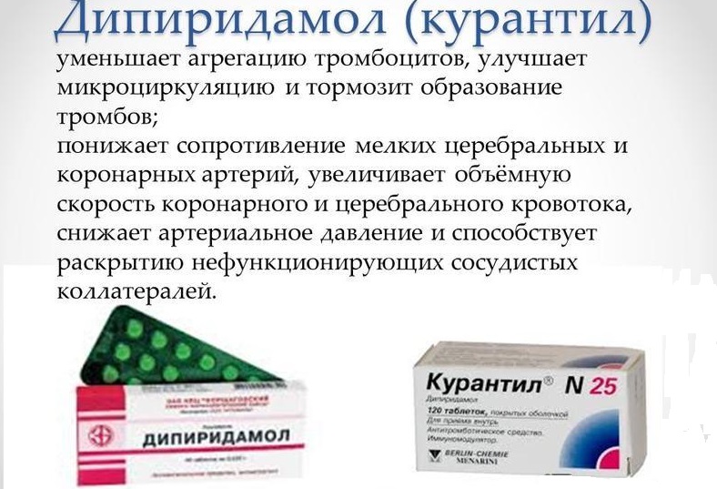 Характеристика