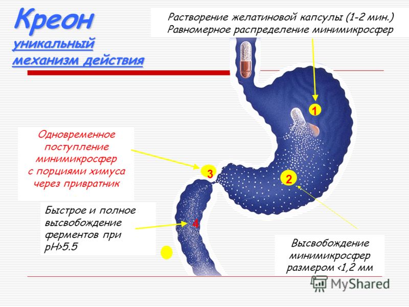 Действие Креона