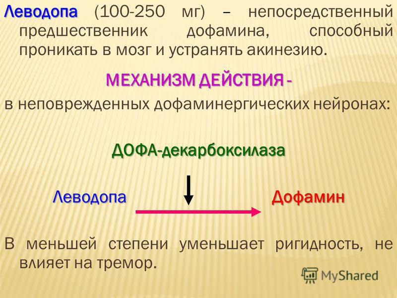 Механизм действия Леводопы