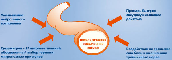 Фармакокинетика Сумамигрена