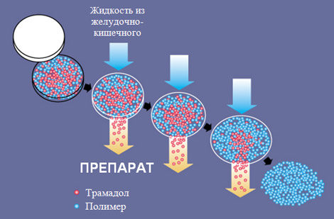 Состав препарата