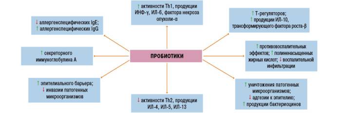 Биологические эффекты пробиотиков