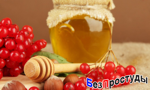 Калина от кашля