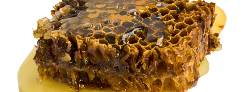 Прополис: лечебные свойства и противопоказания к использованию продукта Прополис: лечебные свойства и противопоказания к использованию продукта