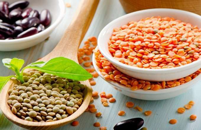 Чечевица – польза и вред, о которых нужно знать сегодня Чечевица – польза и вред, о которых нужно знать сегодня