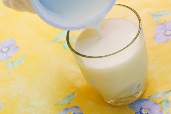 Ваш верный друг ацидофилин, его польза и вред Ваш верный друг ацидофилин, его польза и вред