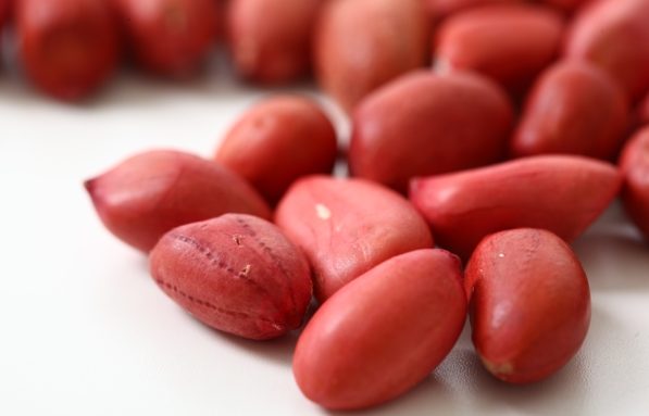 76242712-e1470588387601