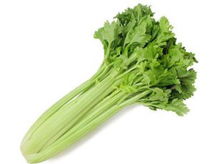 Сельдерей: польза и вред Сельдерей: польза и вред