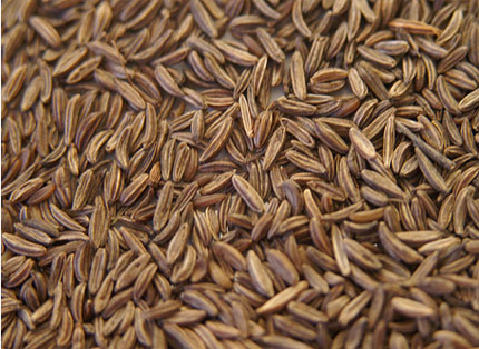 f2fb0749b41c2437-62-100701121643