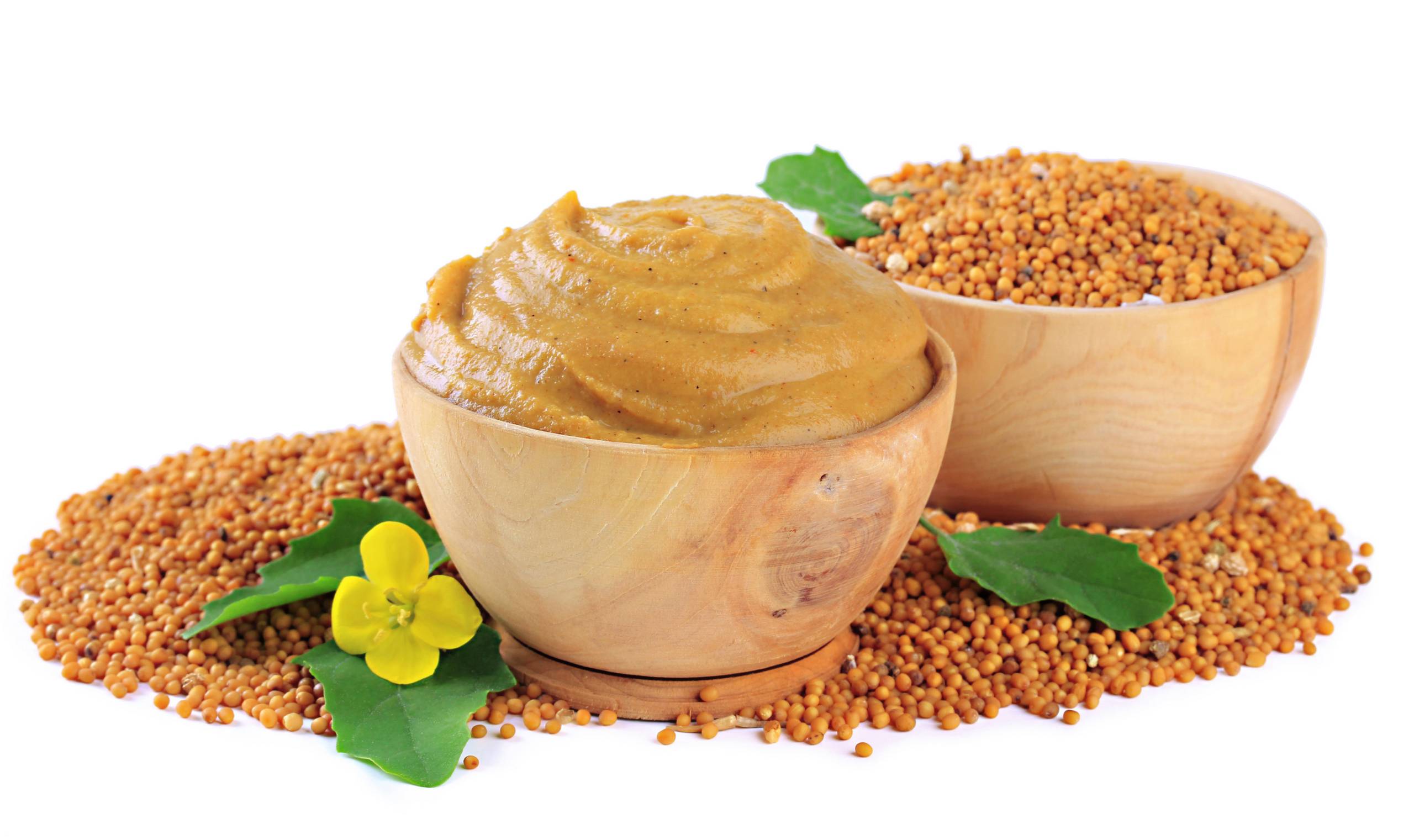 Растительный продукт горчица - польза и вред для человека Растительный продукт горчица - польза и вред для человека