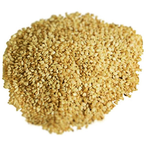 Кунжутное семя: польза и вред от его употребления Кунжутное семя: польза и вред от его употребления