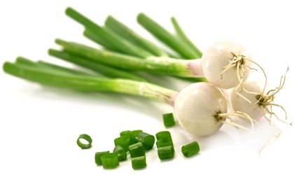 Лук: польза и вред уникального продукта Лук: польза и вред уникального продукта