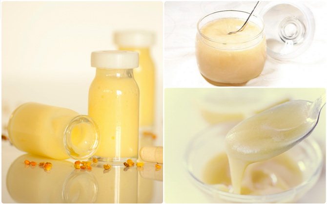 Пчелиное маточное молочко - польза и вред для человека