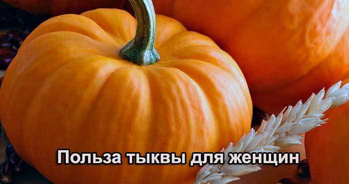 Тыква – польза и вред для организма Тыква – польза и вред для организма
