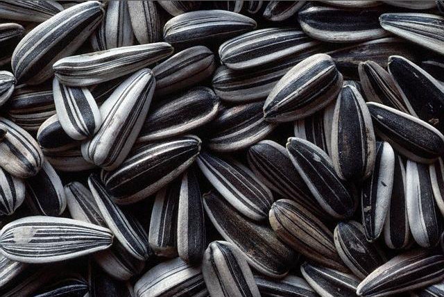 semechki-podsolnukha-2