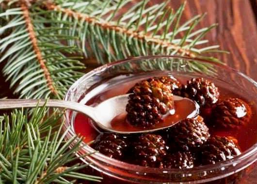 Варенье из шишек - польза и вред хвойного лакомства